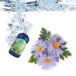 LakShmi - Bl kamille vand