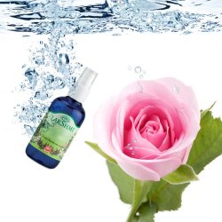 LakShmi - Rosen vand 