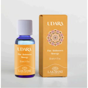 LakShmi - Udara sinergy