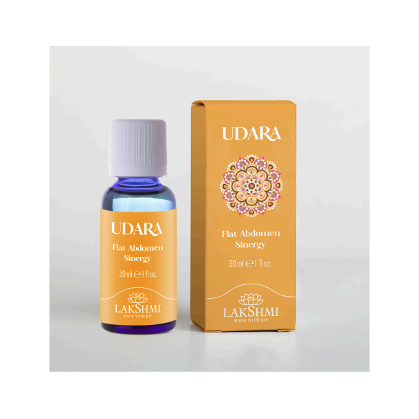 LakShmi - Udara sinergy