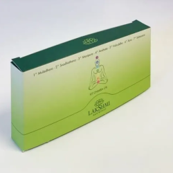Kit 7 Chakra Olier 7x10 ml