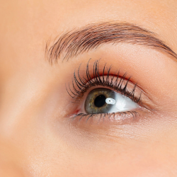 NETRA Hydra Lift Eye Mask 10 x 7 ml 