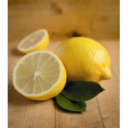 Lakshmi - Lemon Ekstra, 10 ml.