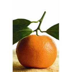 Lakshmi - Mandarine extra, Italy, 10 ml.