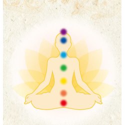 Kit 7 Chakra Olier 7x10 ml