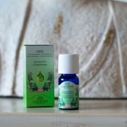 Lakshmi - Eucalyptus Citriodora, Brasil, 10 ml.